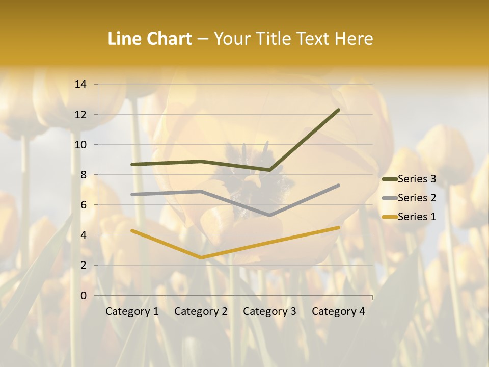 Medical Wrap Treatment PowerPoint Template