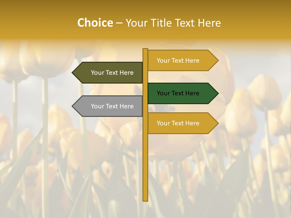 Medical Wrap Treatment PowerPoint Template
