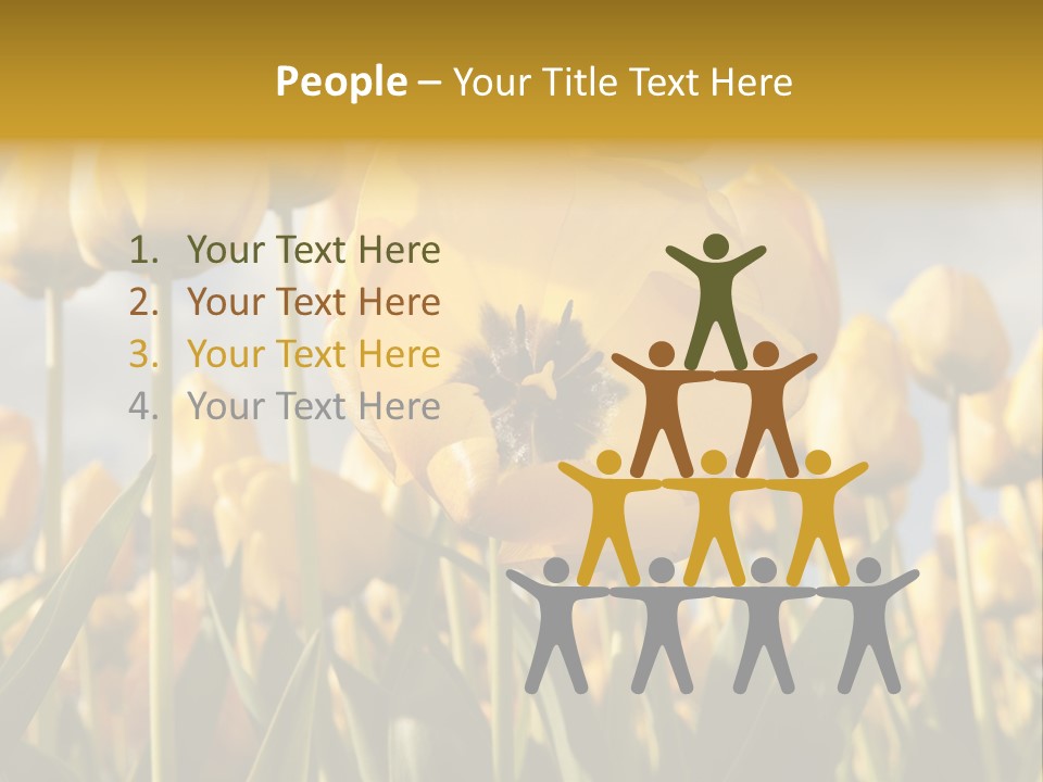 Medical Wrap Treatment PowerPoint Template