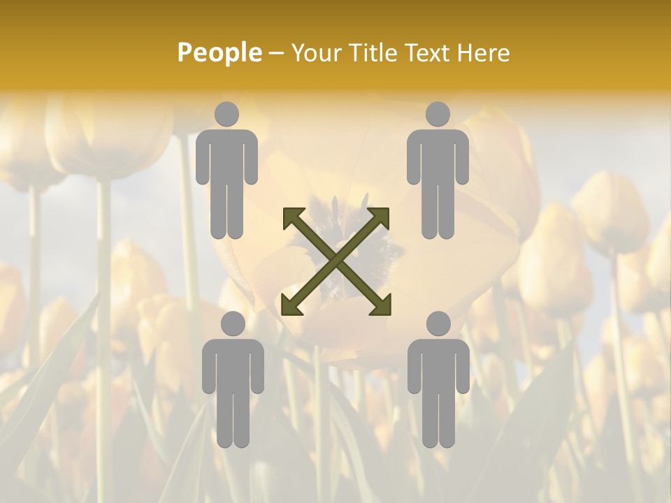 Medical Wrap Treatment PowerPoint Template