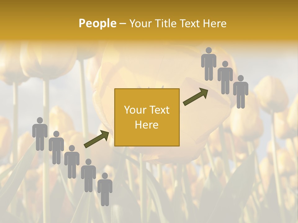 Medical Wrap Treatment PowerPoint Template