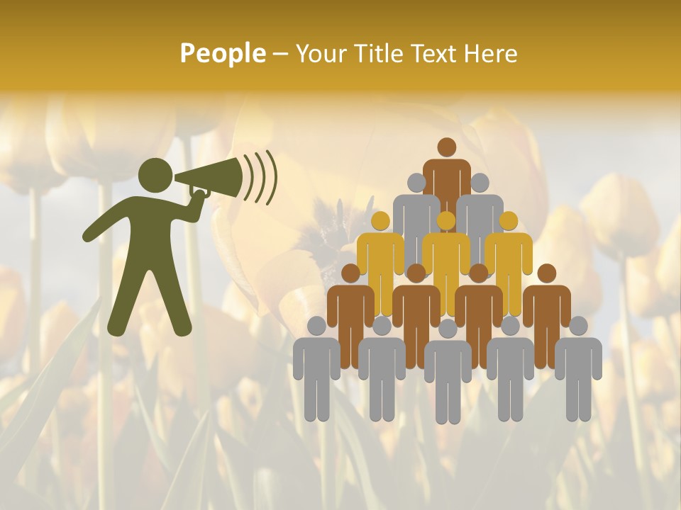 Medical Wrap Treatment PowerPoint Template