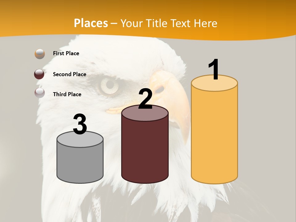 White Predatory Iris PowerPoint Template