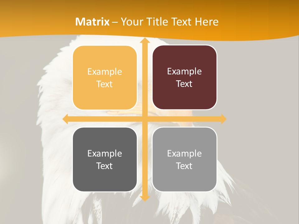 White Predatory Iris PowerPoint Template