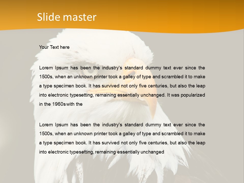 White Predatory Iris PowerPoint Template