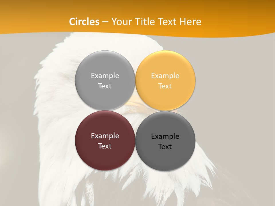 White Predatory Iris PowerPoint Template