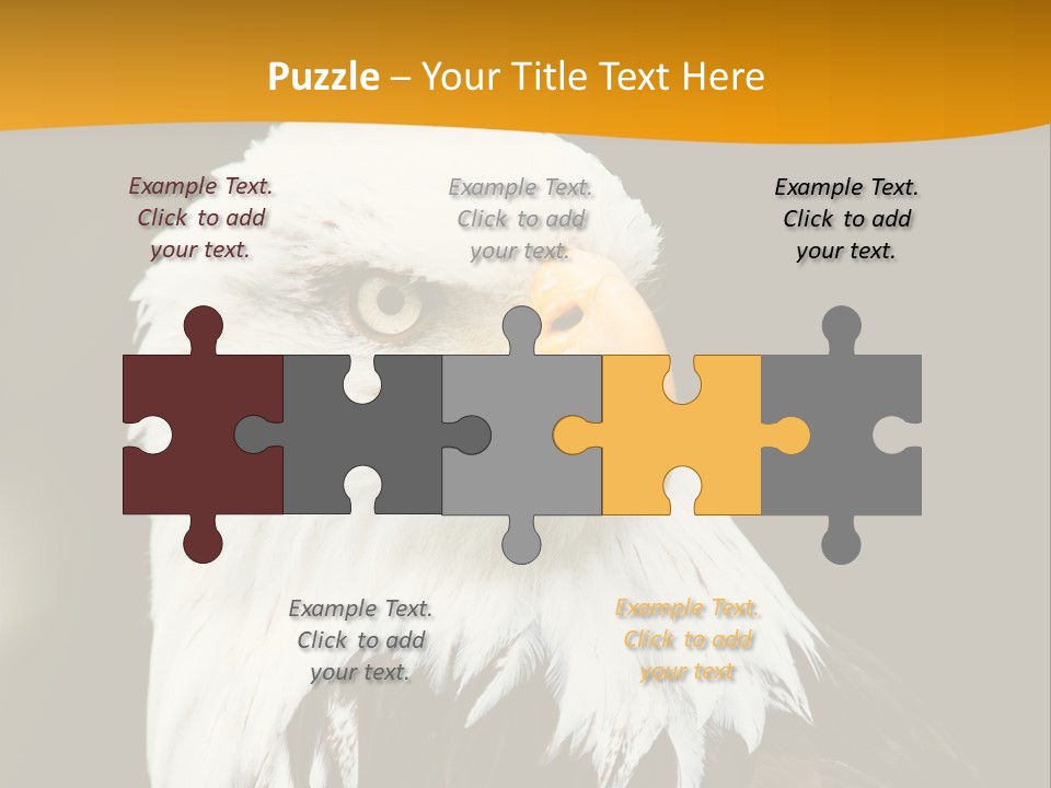 White Predatory Iris PowerPoint Template