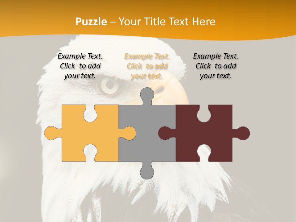 White Predatory Iris PowerPoint Template