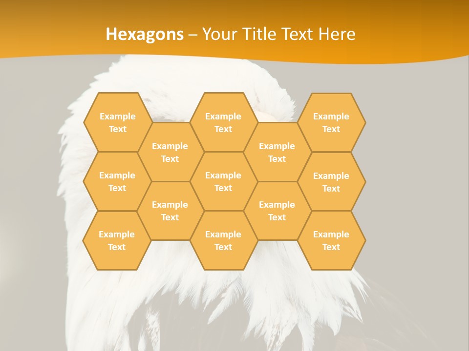 White Predatory Iris PowerPoint Template