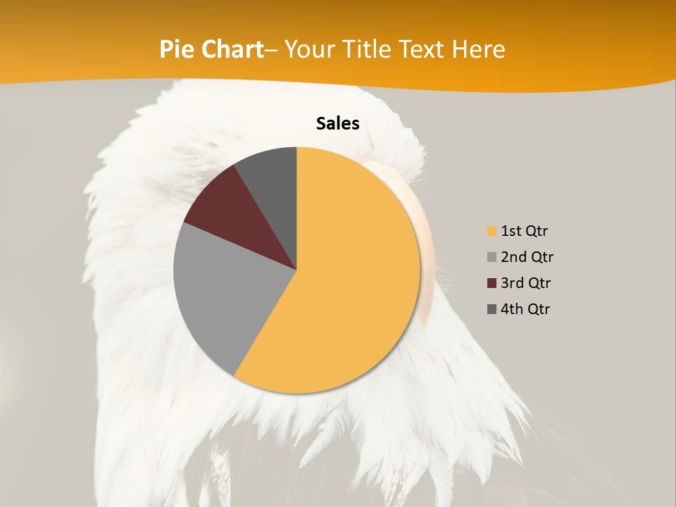 White Predatory Iris PowerPoint Template