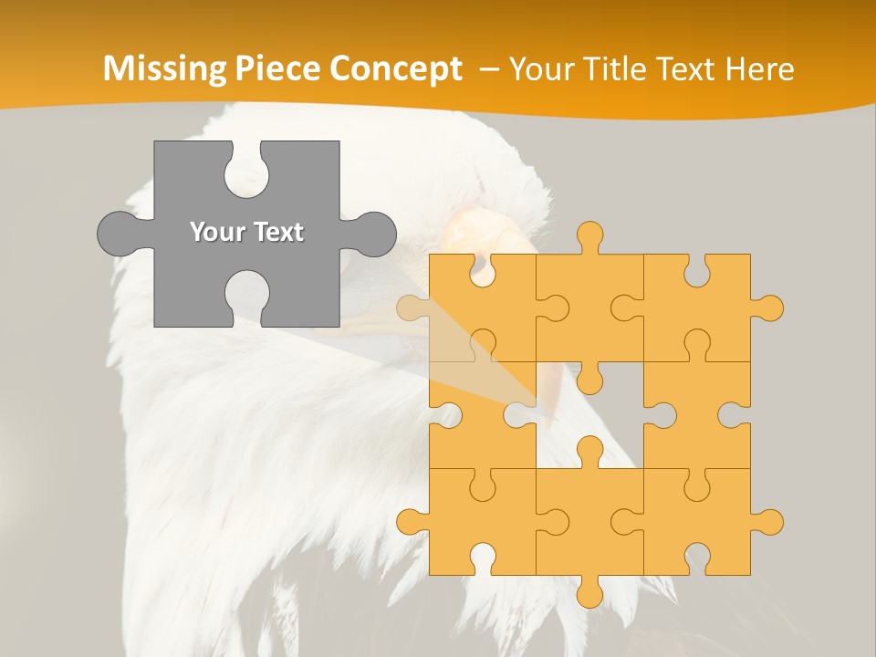 White Predatory Iris PowerPoint Template