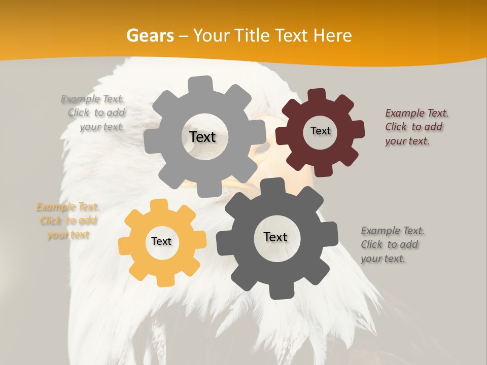 White Predatory Iris PowerPoint Template