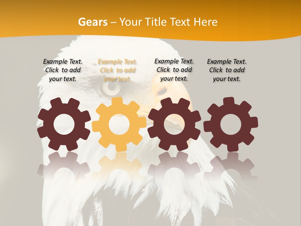 White Predatory Iris PowerPoint Template