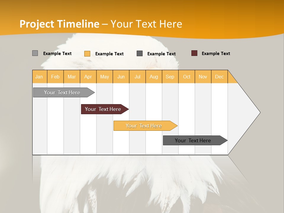 White Predatory Iris PowerPoint Template