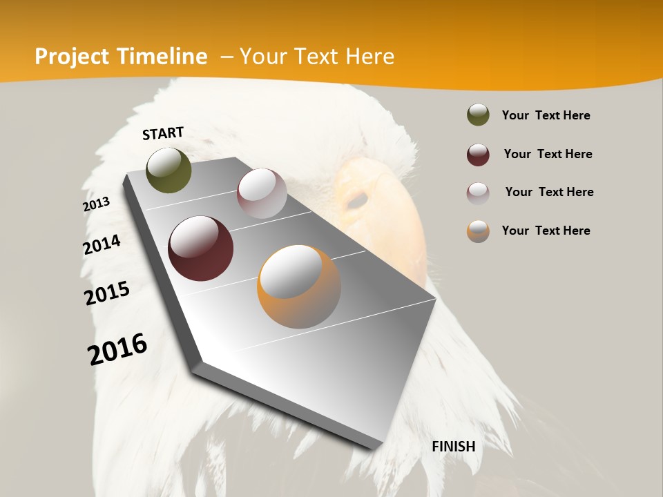 White Predatory Iris PowerPoint Template