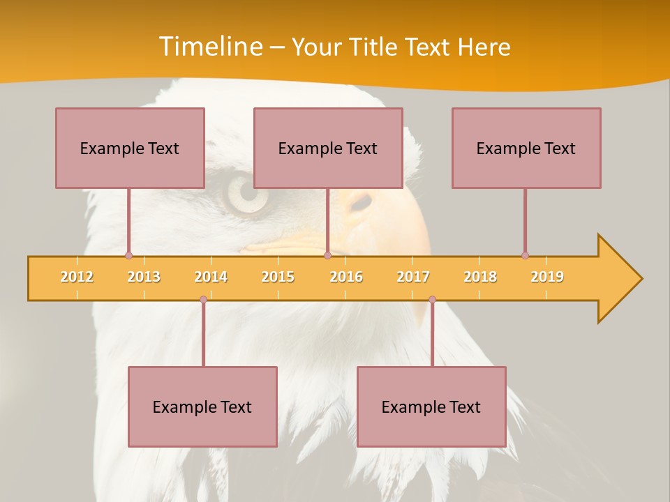 White Predatory Iris PowerPoint Template