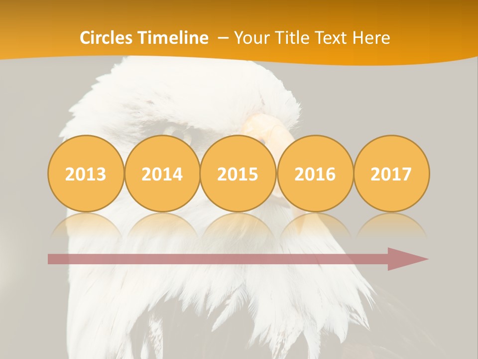 White Predatory Iris PowerPoint Template