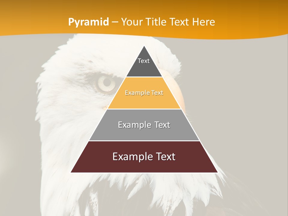 White Predatory Iris PowerPoint Template