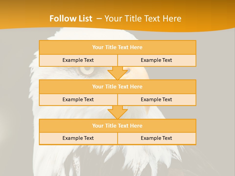 White Predatory Iris PowerPoint Template