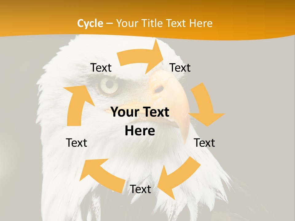 White Predatory Iris PowerPoint Template