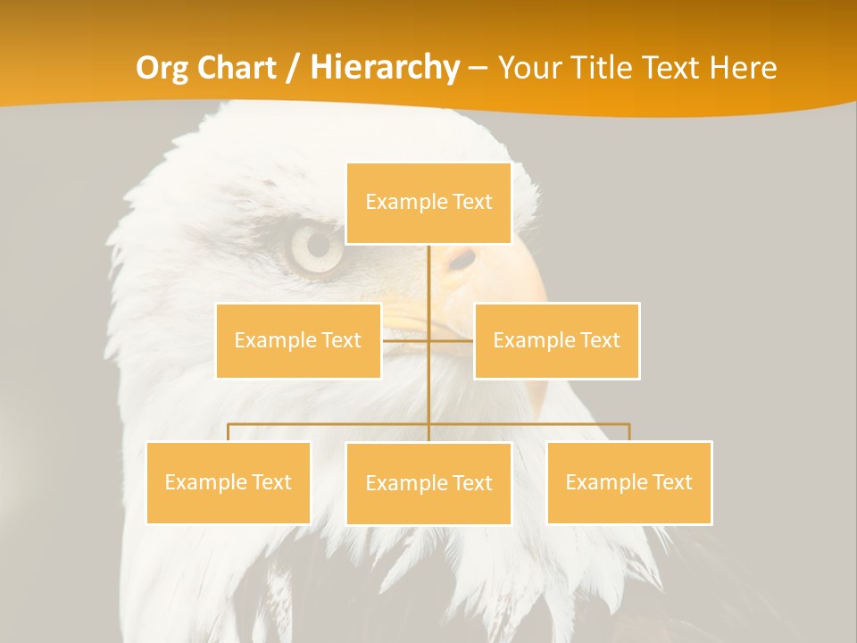 White Predatory Iris PowerPoint Template