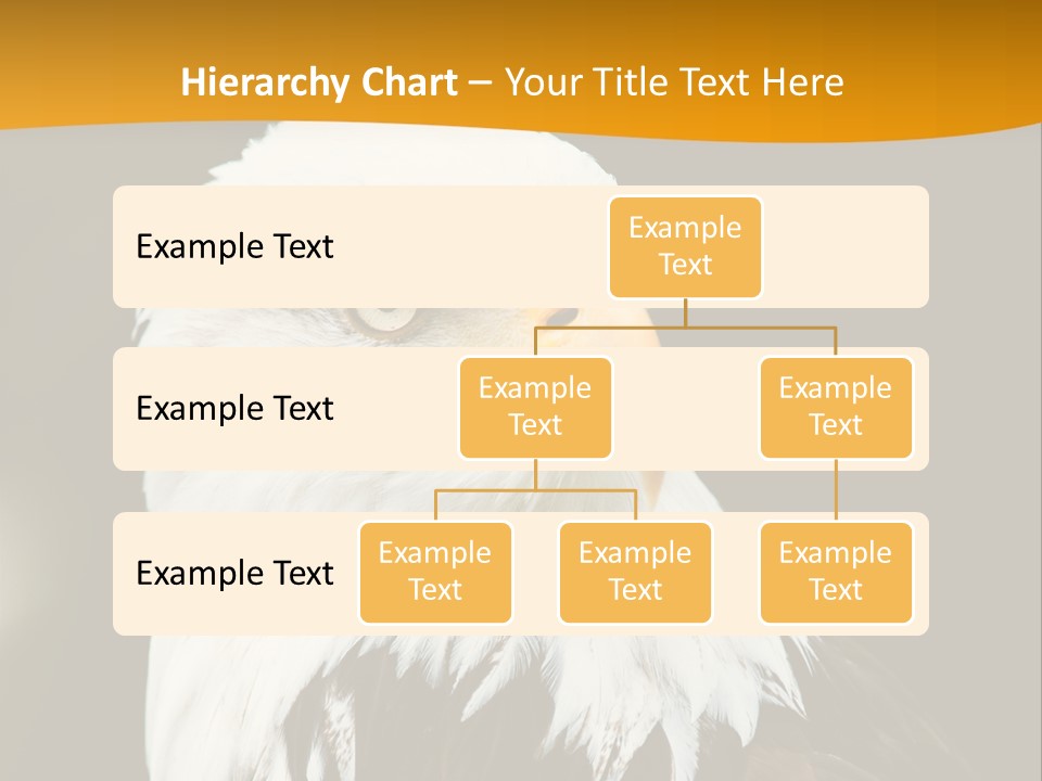 White Predatory Iris PowerPoint Template
