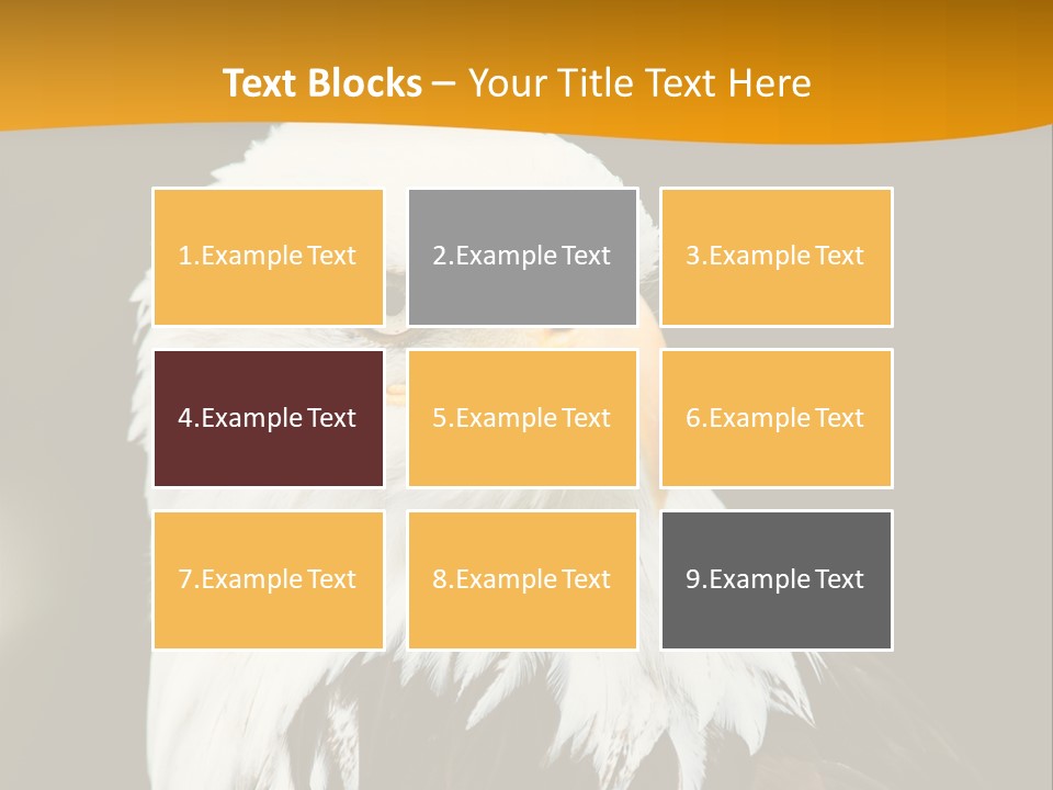 White Predatory Iris PowerPoint Template