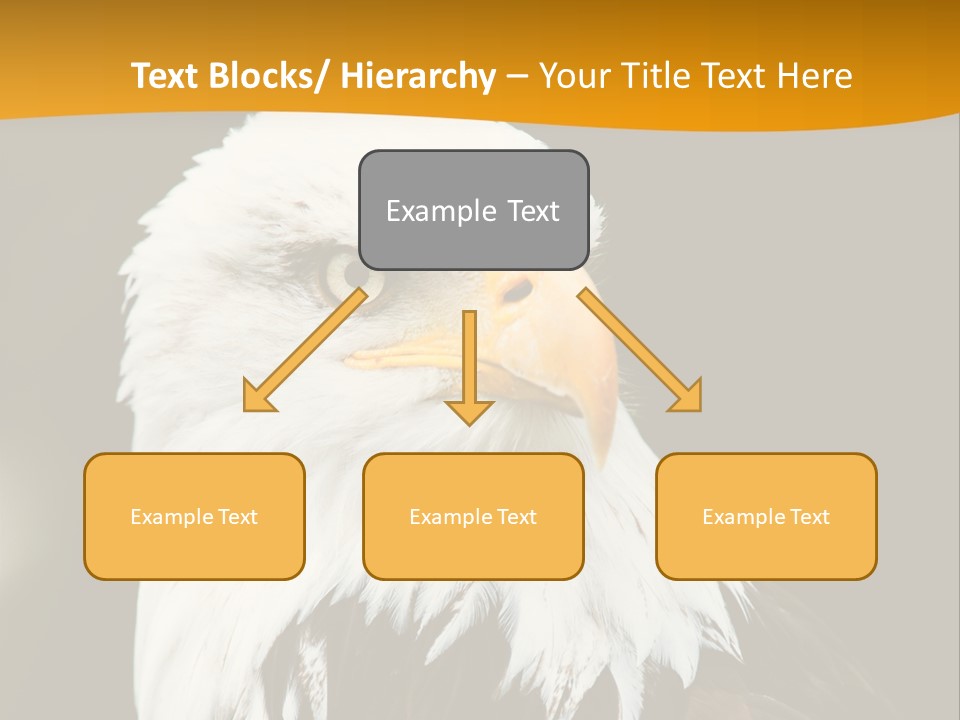 White Predatory Iris PowerPoint Template