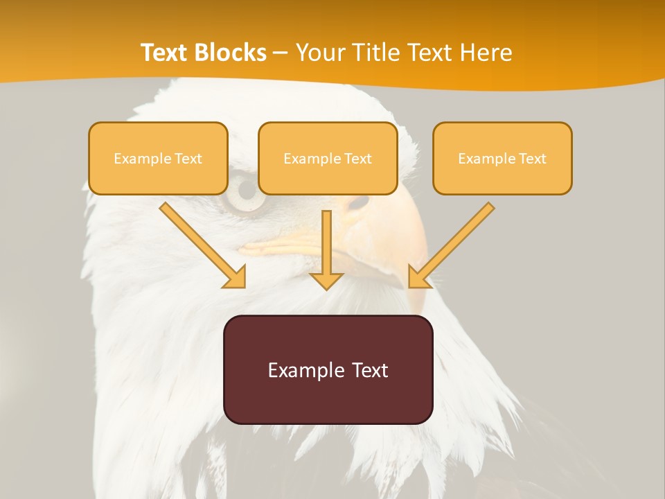 White Predatory Iris PowerPoint Template