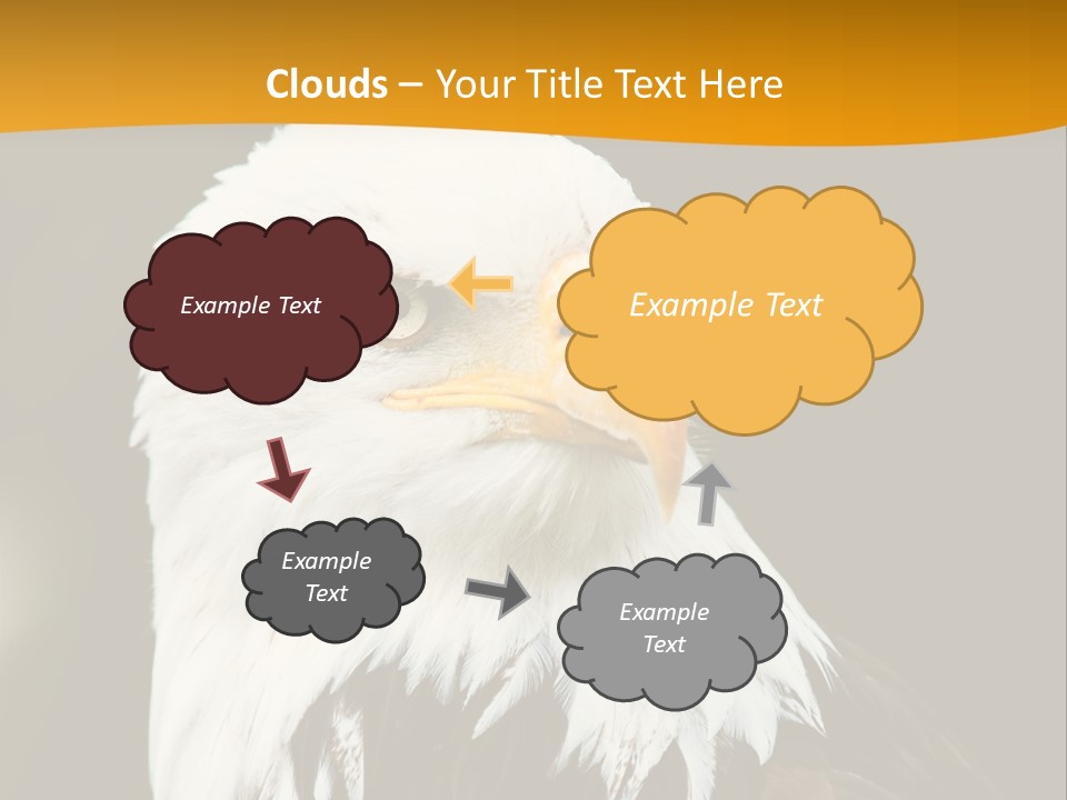 White Predatory Iris PowerPoint Template