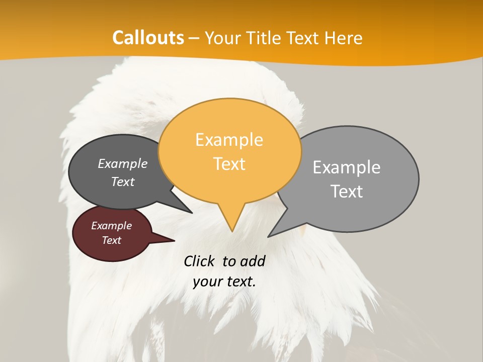 White Predatory Iris PowerPoint Template