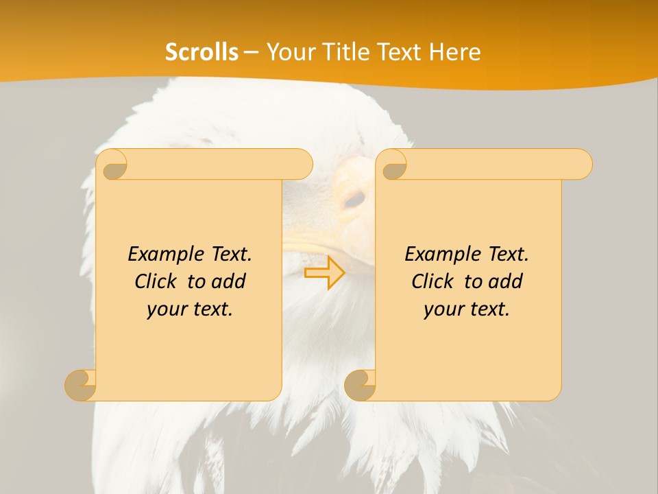 White Predatory Iris PowerPoint Template