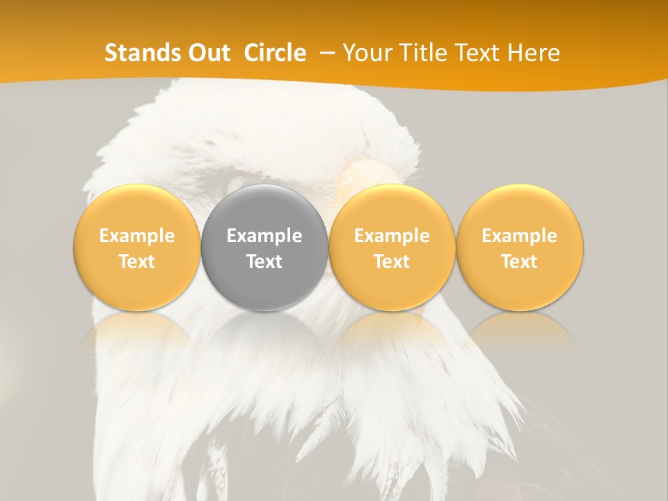 White Predatory Iris PowerPoint Template
