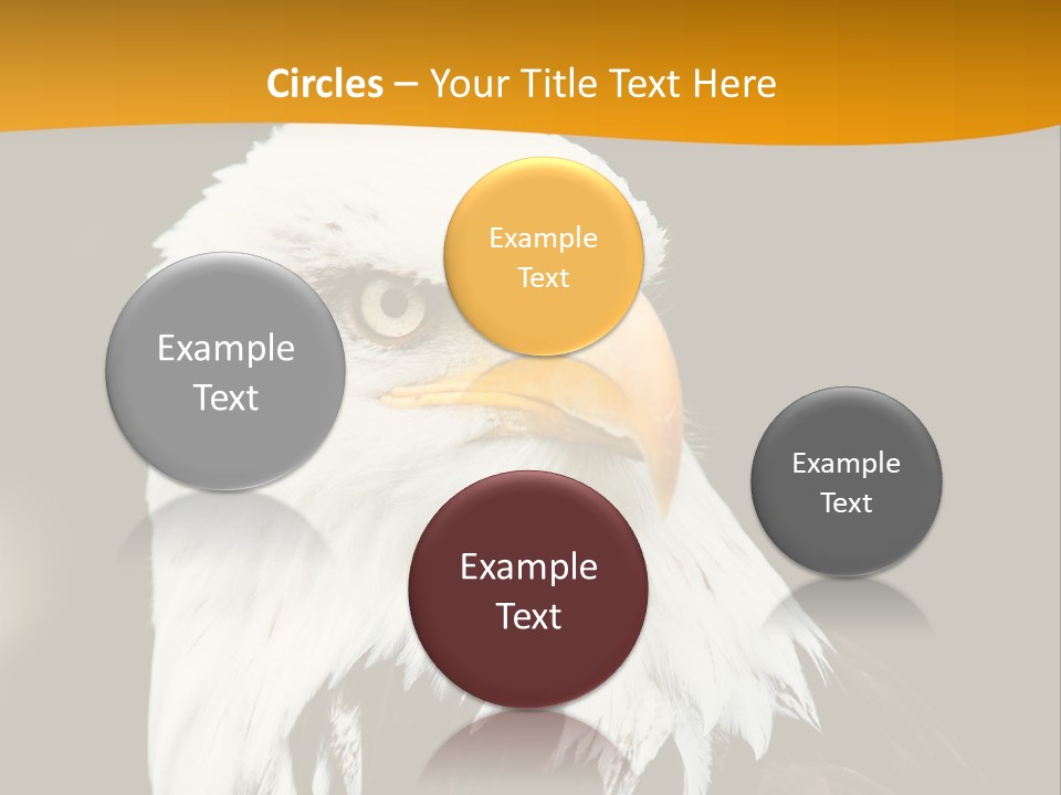 White Predatory Iris PowerPoint Template