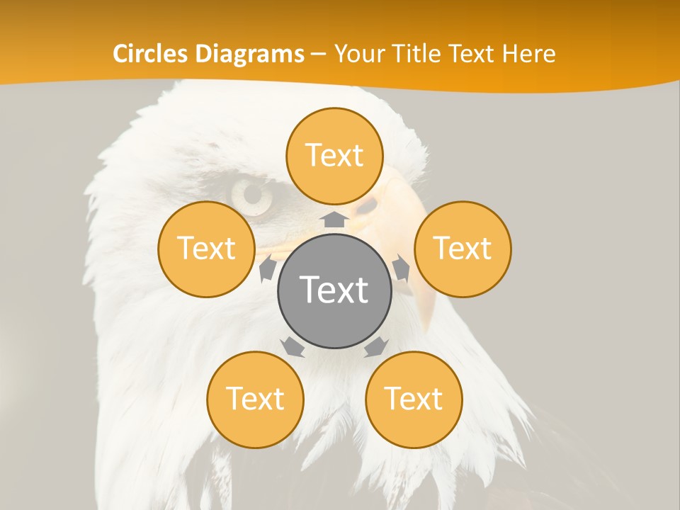 White Predatory Iris PowerPoint Template