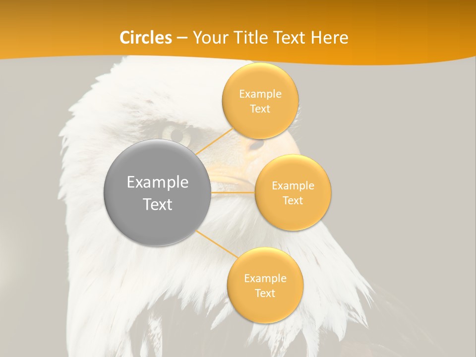 White Predatory Iris PowerPoint Template