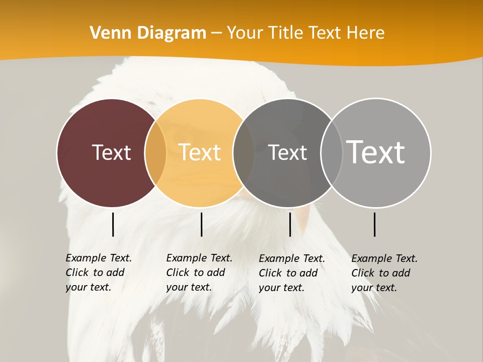 White Predatory Iris PowerPoint Template