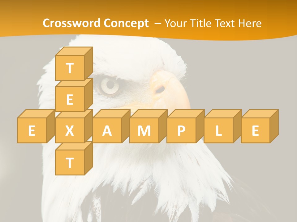 White Predatory Iris PowerPoint Template