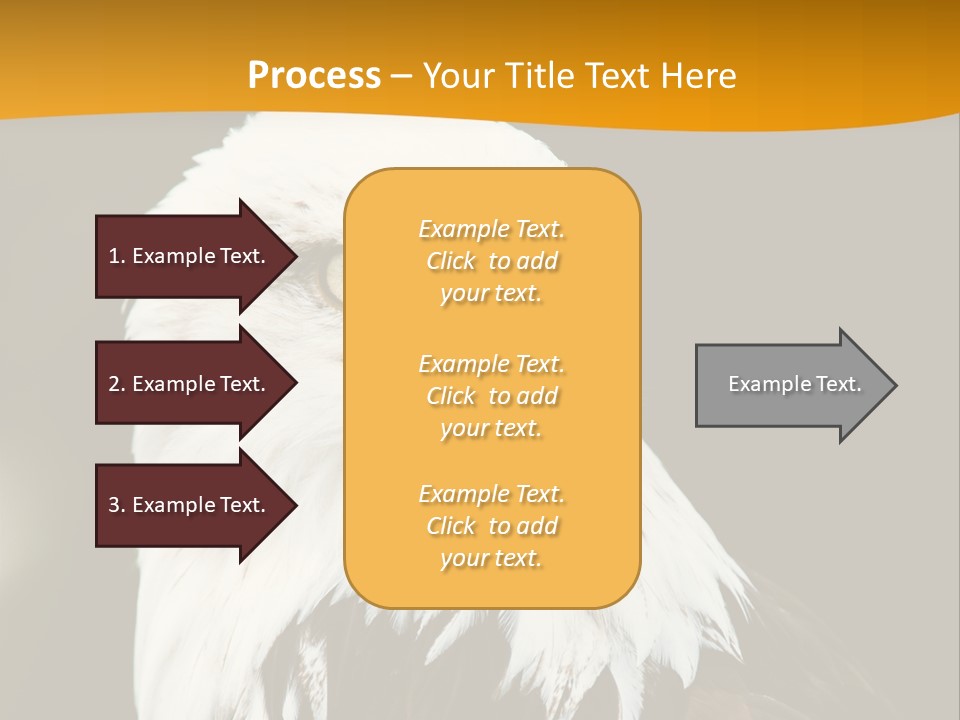 White Predatory Iris PowerPoint Template