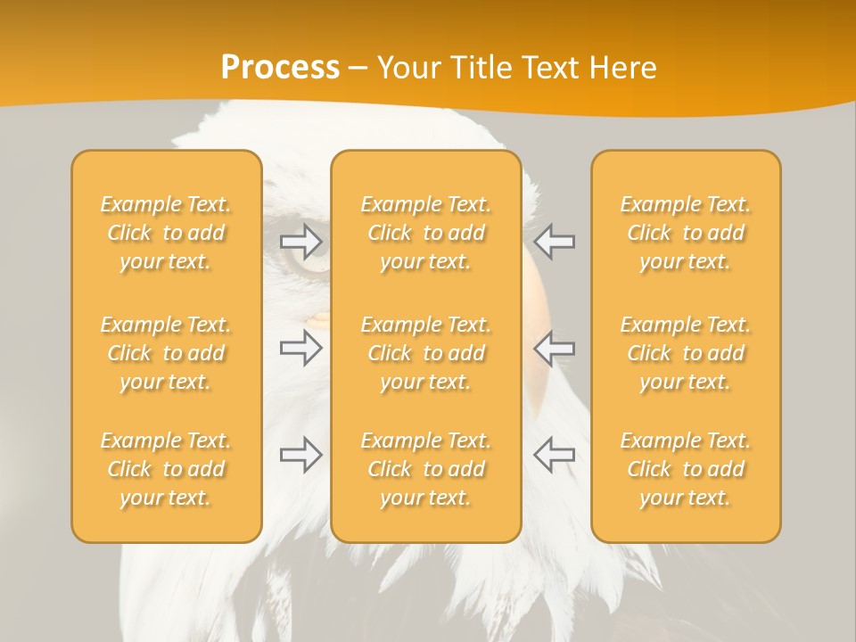 White Predatory Iris PowerPoint Template