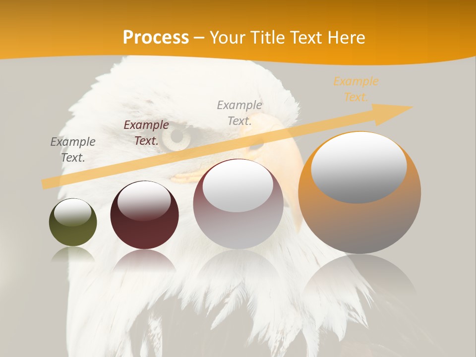 White Predatory Iris PowerPoint Template