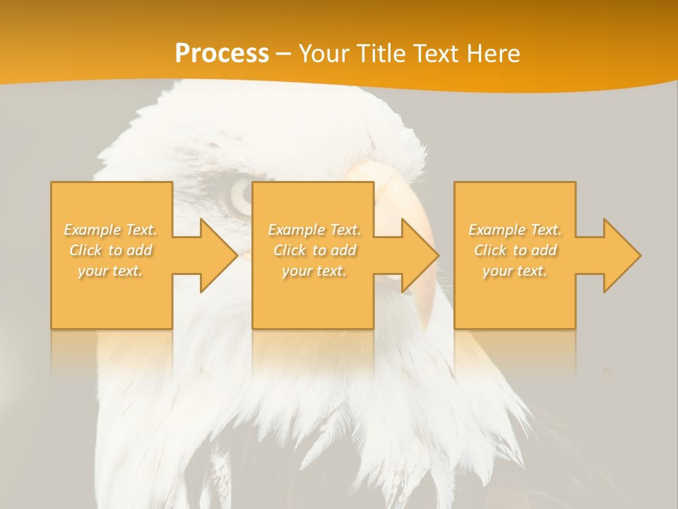 White Predatory Iris PowerPoint Template