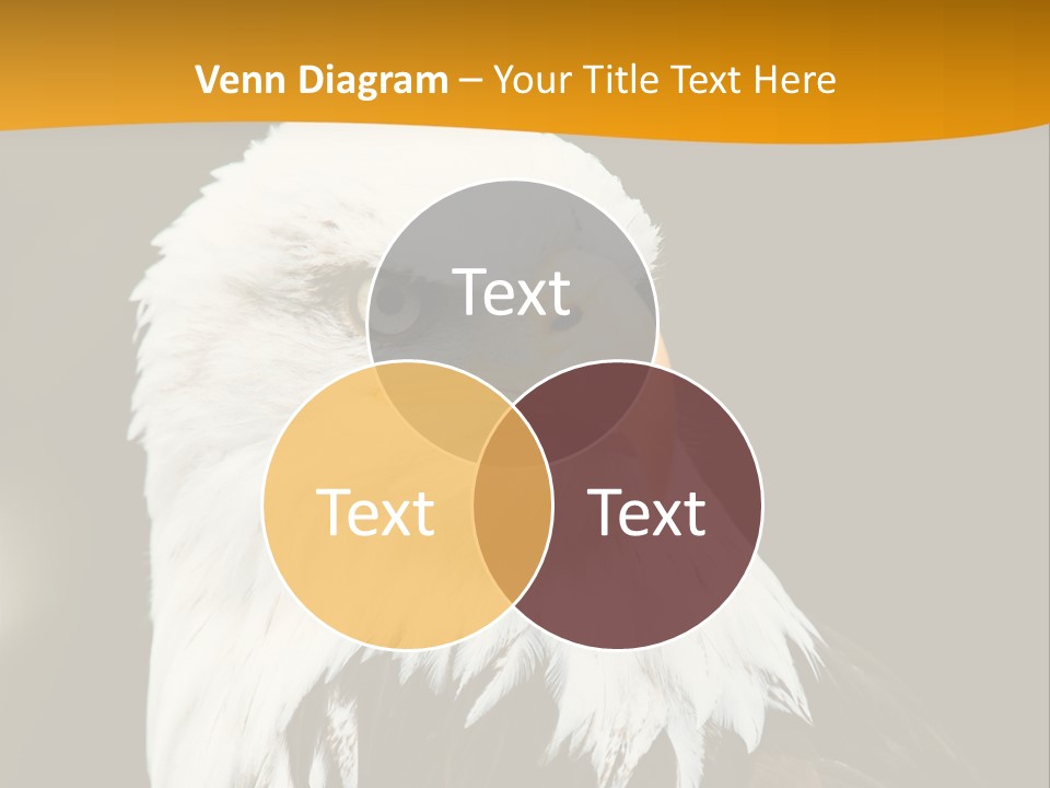 White Predatory Iris PowerPoint Template