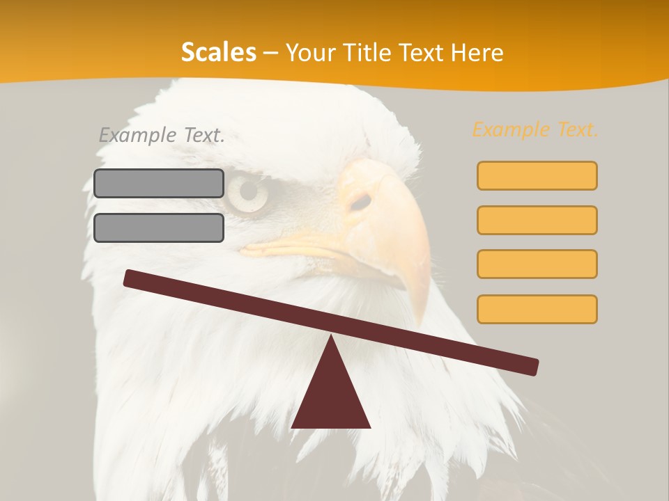 White Predatory Iris PowerPoint Template