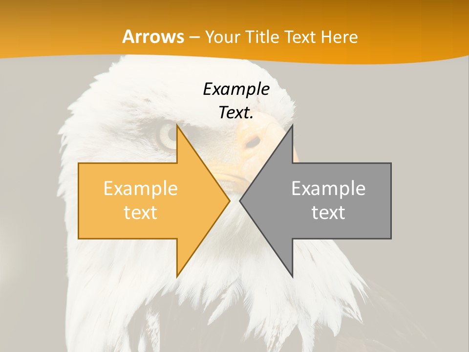 White Predatory Iris PowerPoint Template