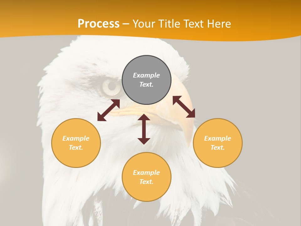 White Predatory Iris PowerPoint Template