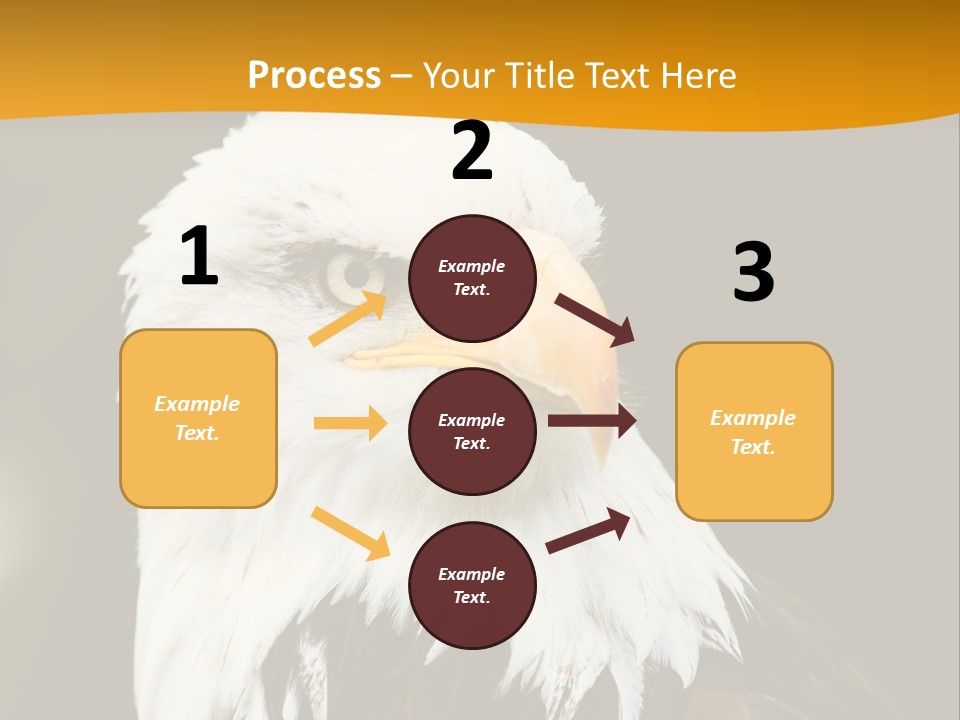 White Predatory Iris PowerPoint Template