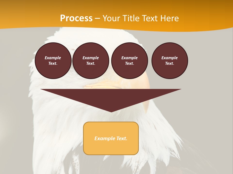 White Predatory Iris PowerPoint Template