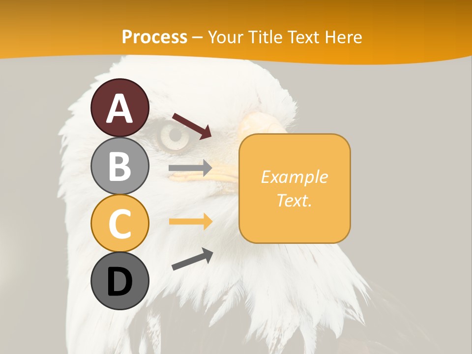 White Predatory Iris PowerPoint Template