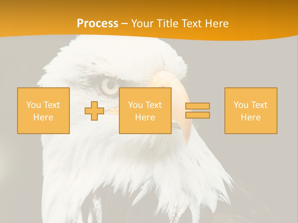 White Predatory Iris PowerPoint Template